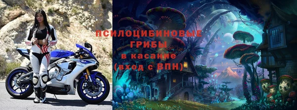 каннабис Новодвинск