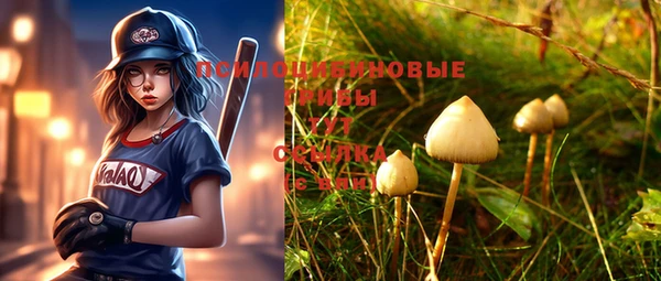винт Новозыбков
