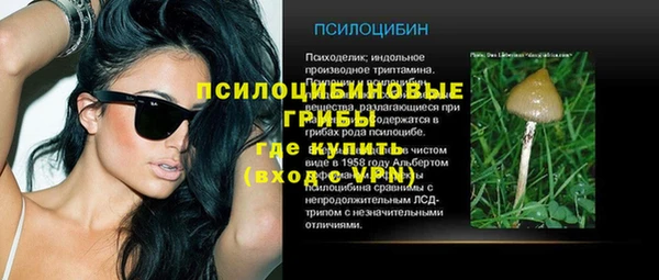 винт Новозыбков
