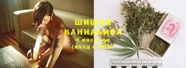 каннабис Новодвинск