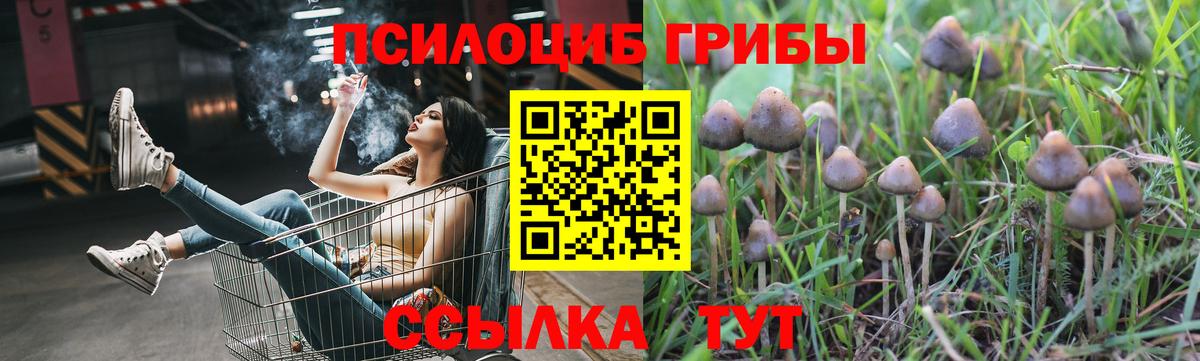 хочу   Псилоцибиновые грибы мицелий  Вход с VPN  Карталы 